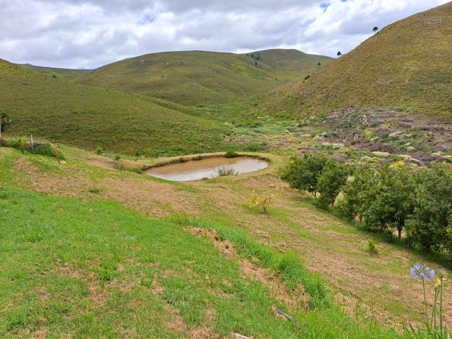 4 Bedroom Property for Sale in Herbertsdale Western Cape
